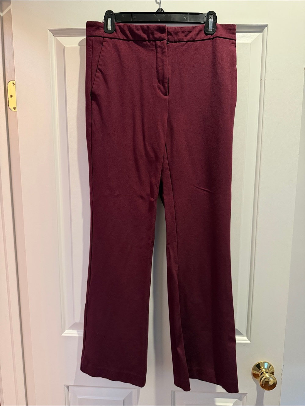Ann Taylor Skinny Flare Pant In Ponte